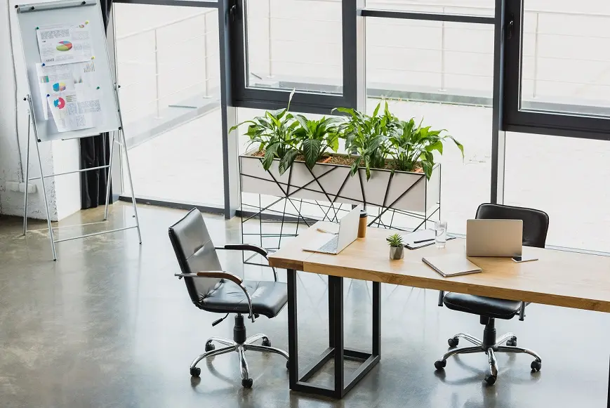 Bureau aménagé avec plantes et grandes fenêtres